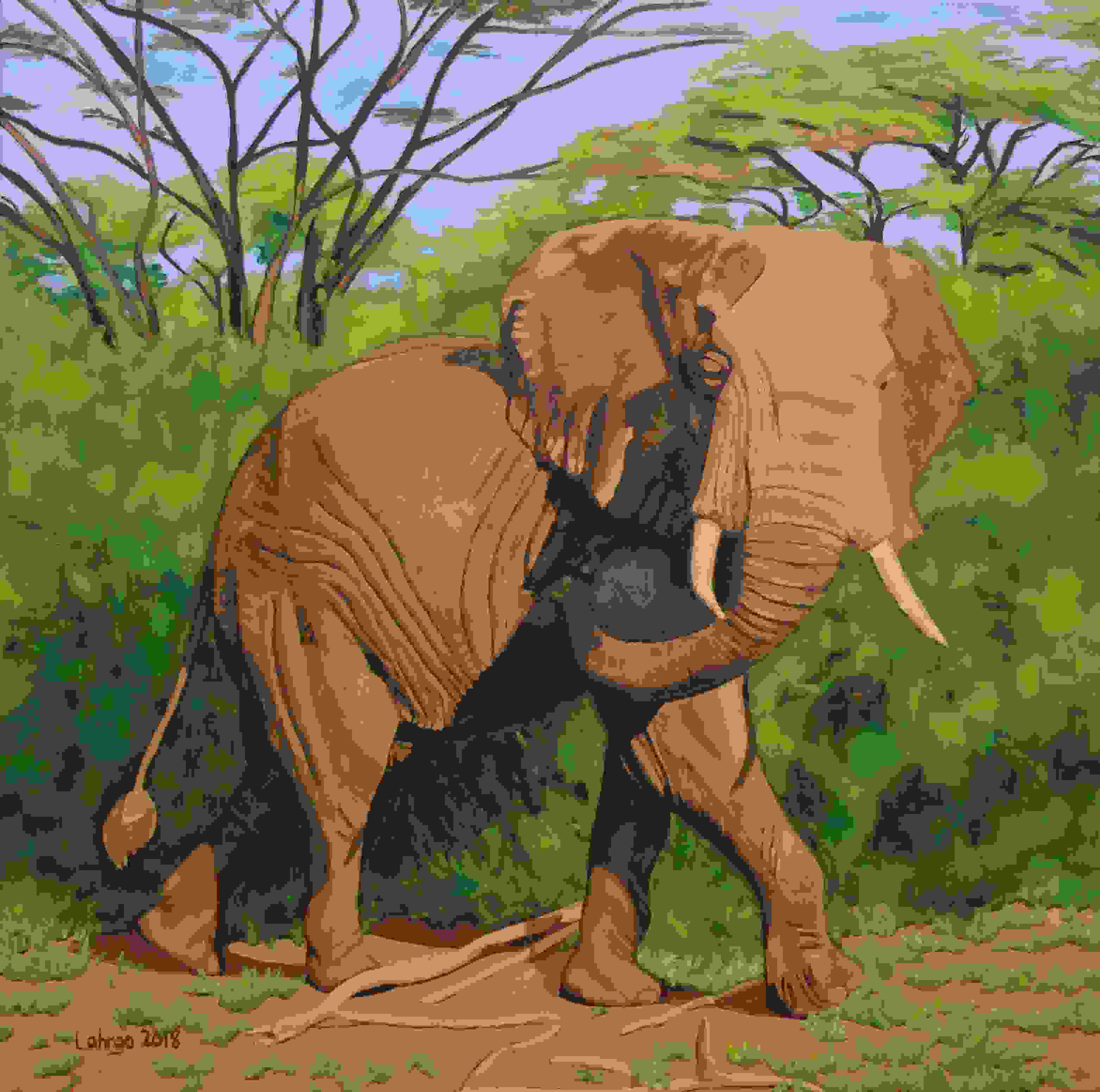 Young Elephant